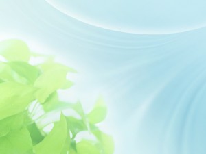 HJ084_72A