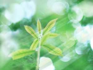 HJ089_72A
