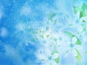 HJ195_72A