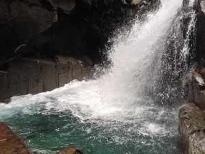 IMG_4260.JPG